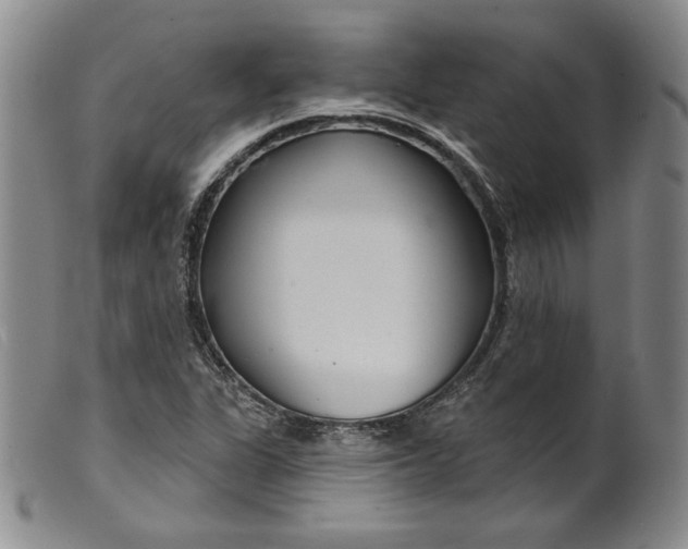 X0000099441311200805231708
