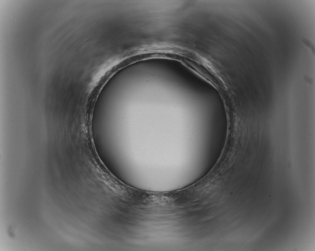 X0000099441312200805231708