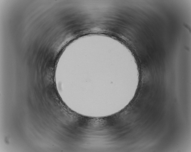 X0000099441314200805231708