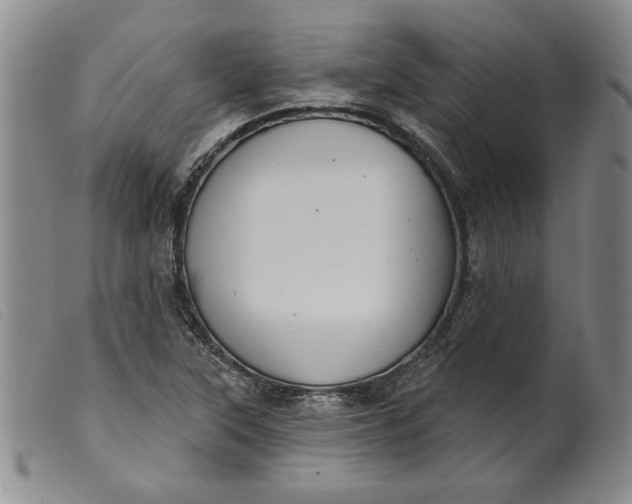X0000099441315200805231708
