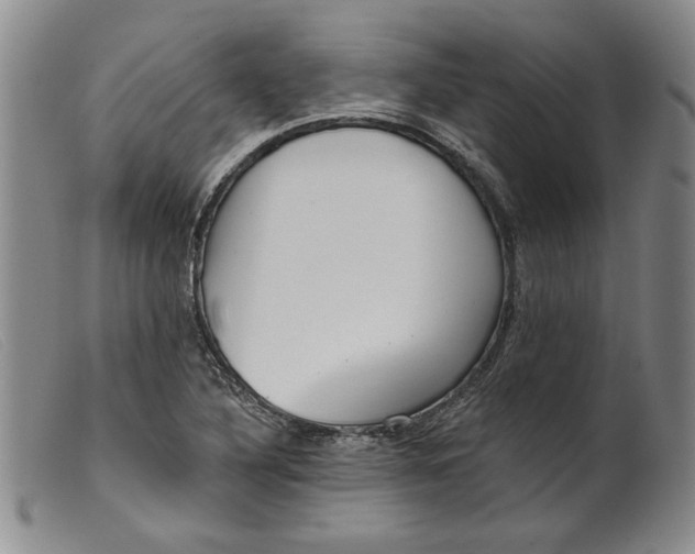 X0000099441316200805231708