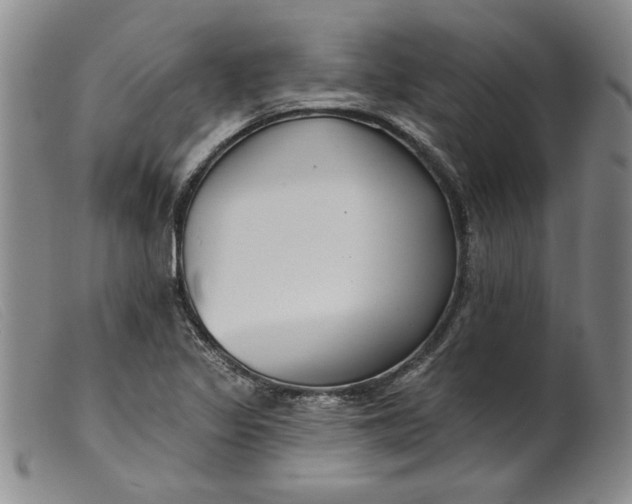 X0000099441317200805231708