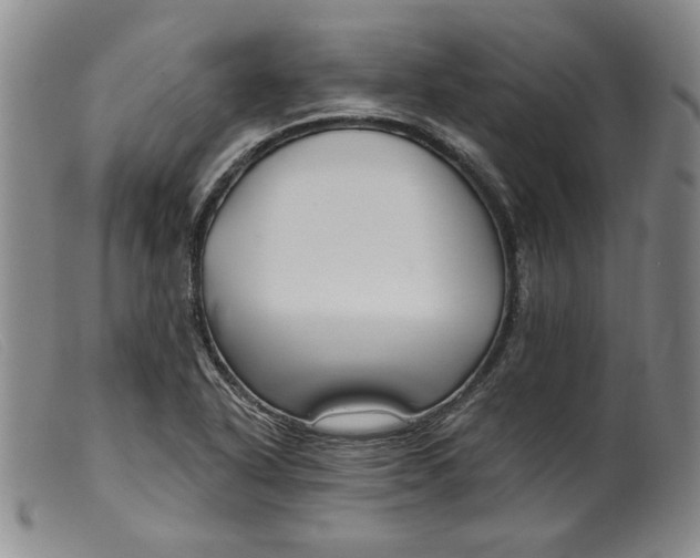 X0000099441318200805231708