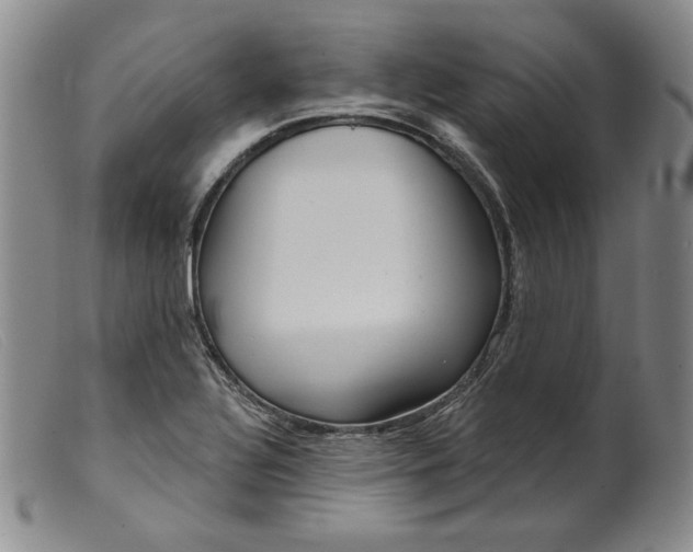 X0000099441320200805231708