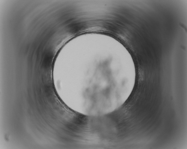 X0000099441322200805231708