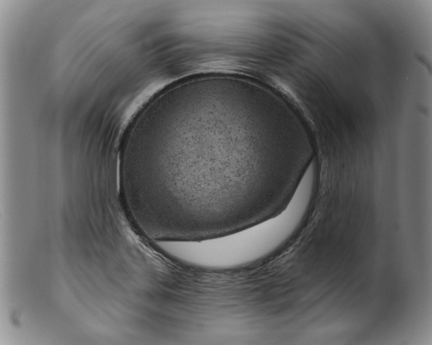X0000099441323200805231708
