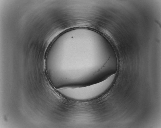 X0000099441324200805231708