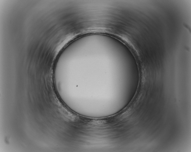 X0000099441325200805231708
