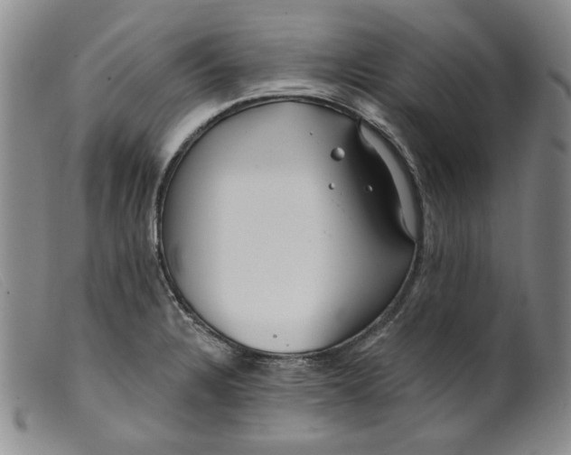 X0000099441328200805231708