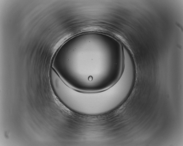 X0000099441330200805231708