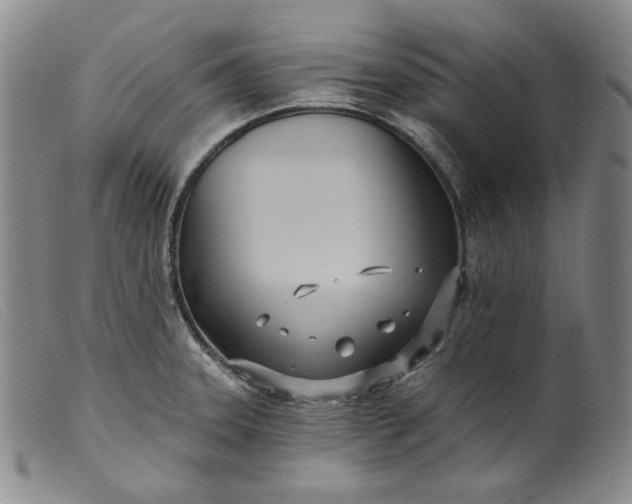 X0000099441331200805231708