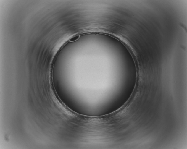X0000099441333200805231708