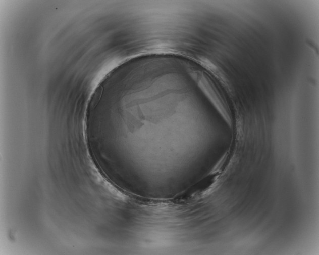X0000099441334200805231708