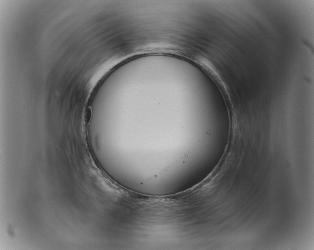 X0000099441336200805231708