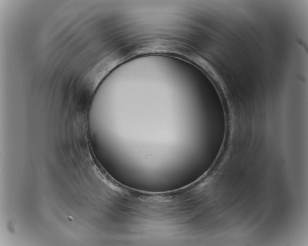 X0000099441337200805231708
