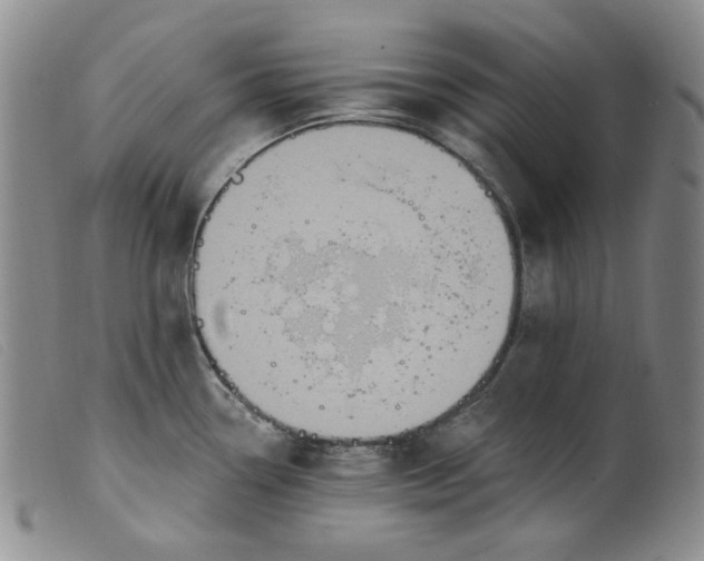 X0000099441338200805231708
