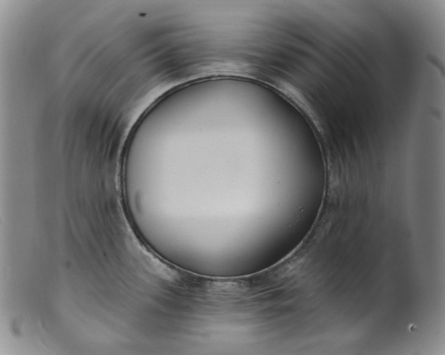 X0000099441339200805231708