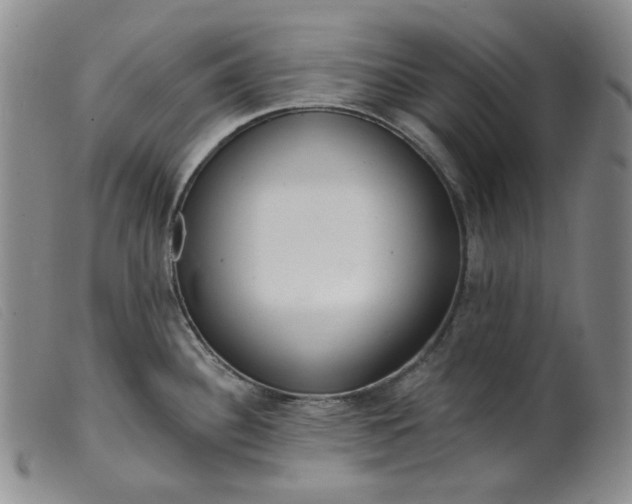 X0000099441340200805231708