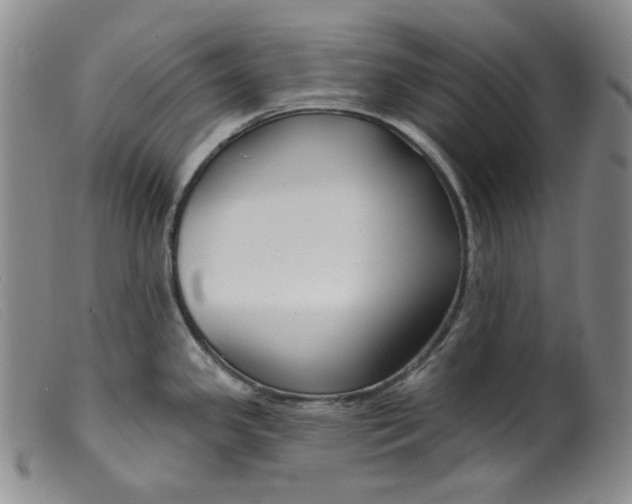 X0000099441341200805231708
