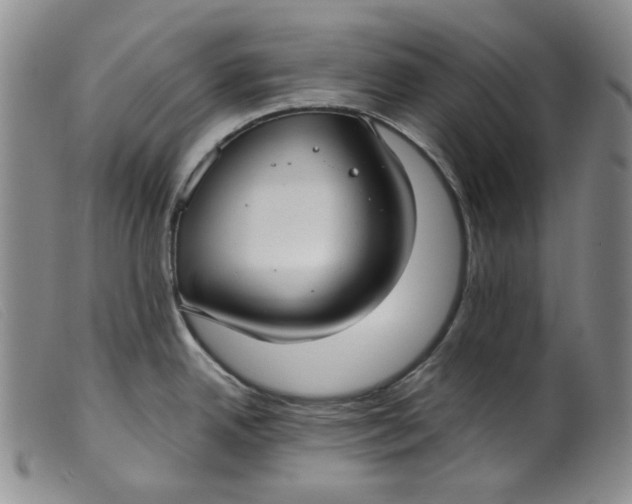 X0000099441342200805231708