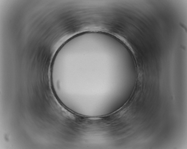 X0000099441343200805231708
