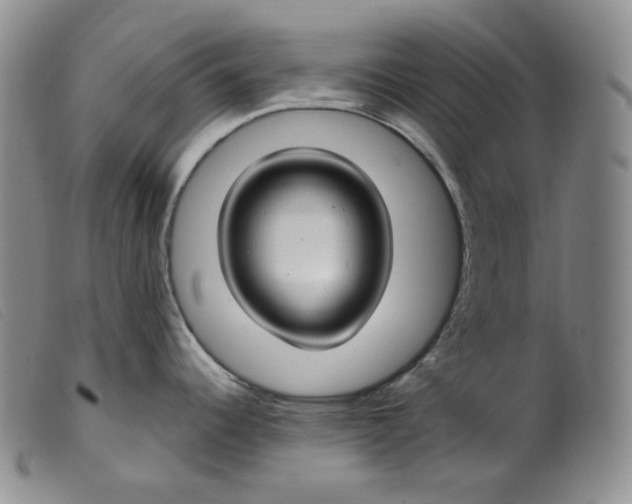 X0000099441344200805231708