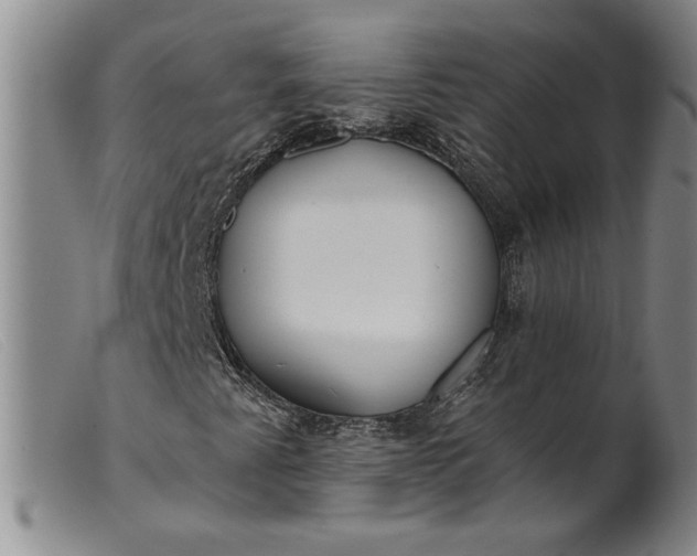 X0000099441345200805231707
