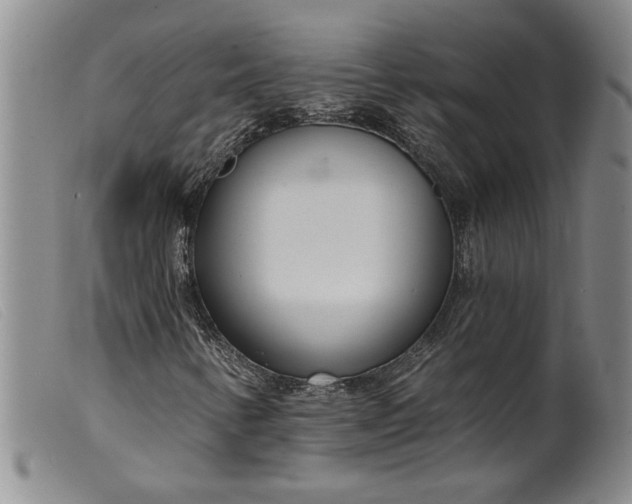 X0000099441346200805231707