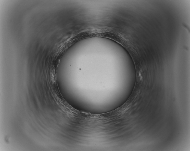 X0000099441348200805231707