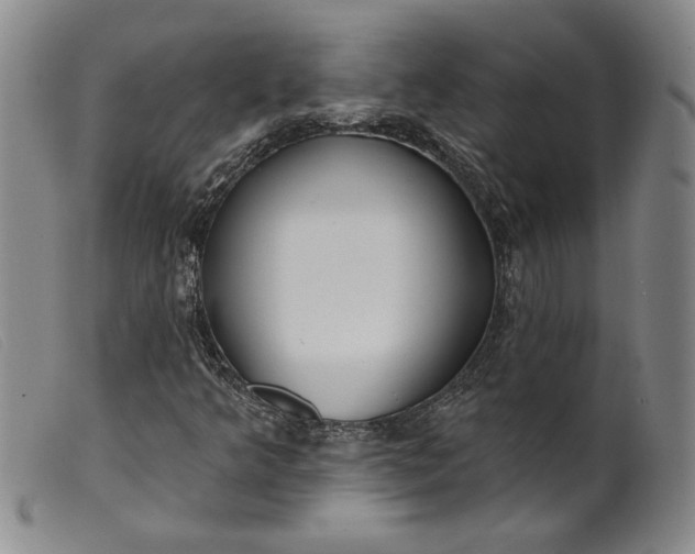 X0000099441349200805231707