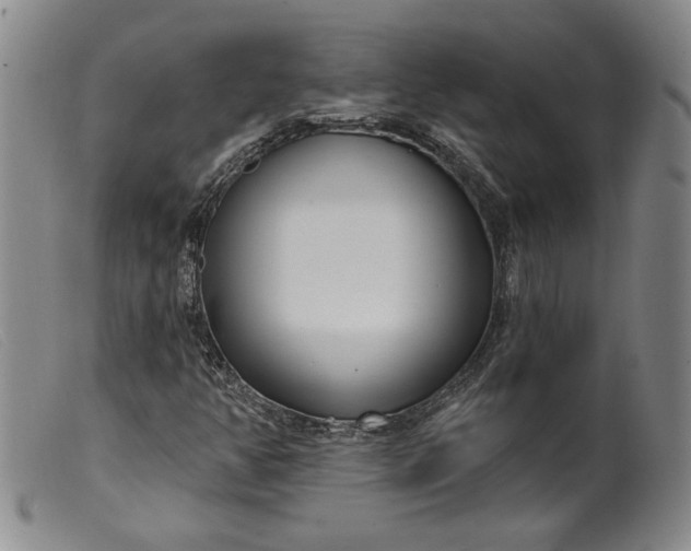 X0000099441350200805231707