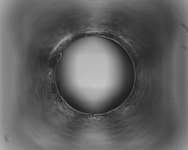 X0000099441351200805231707