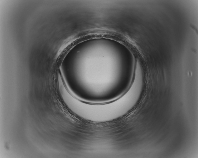 X0000099441352200805231707
