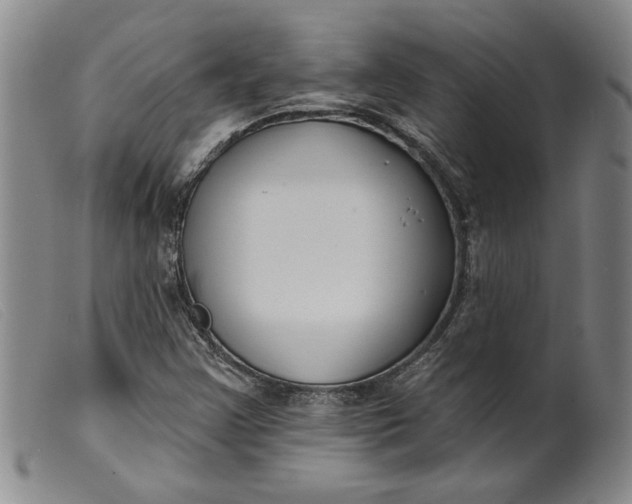X0000099441355200805231707
