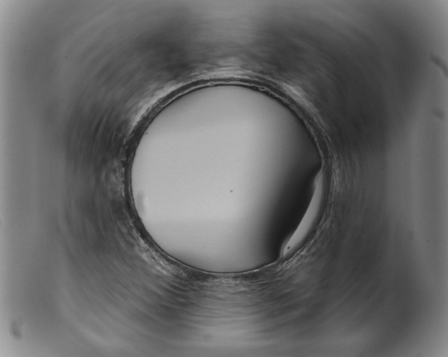 X0000099441356200805231707