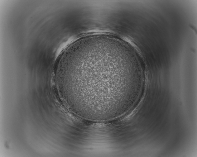 X0000099441357200805231707