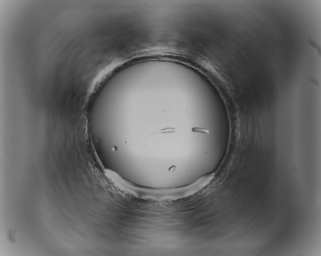X0000099441358200805231707