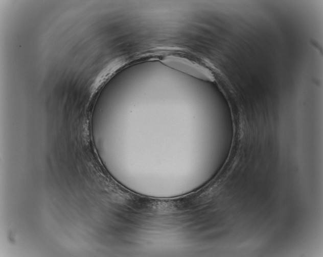 X0000099441362200805231707
