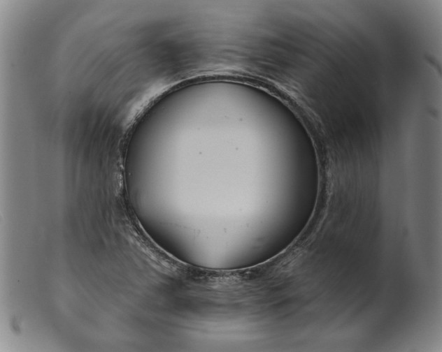 X0000099441363200805231707