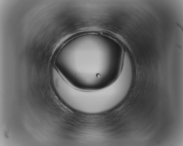 X0000099441364200805231707