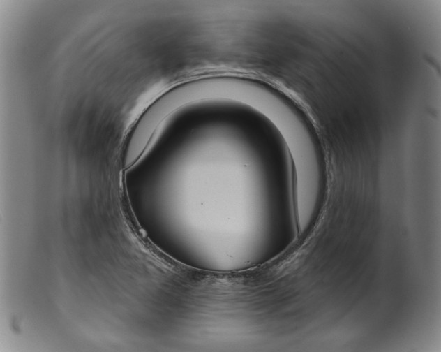 X0000099441365200805231707
