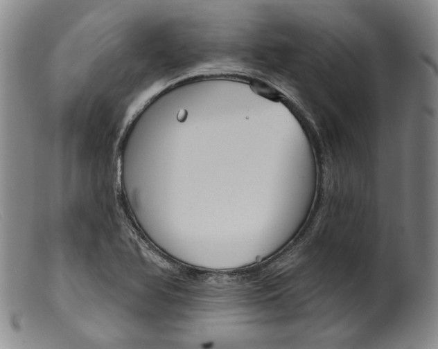X0000099441366200805231707