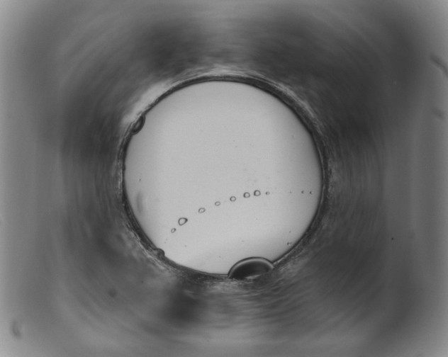 X0000099441367200805231707