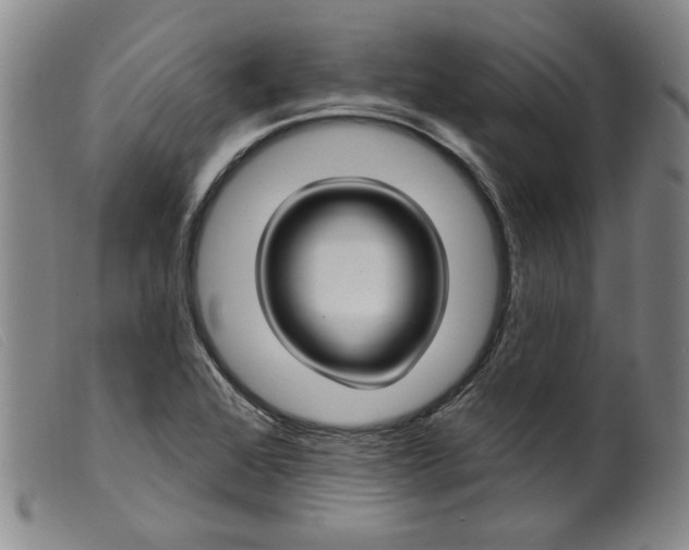 X0000099441368200805231707
