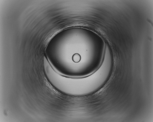 X0000099441369200805231707
