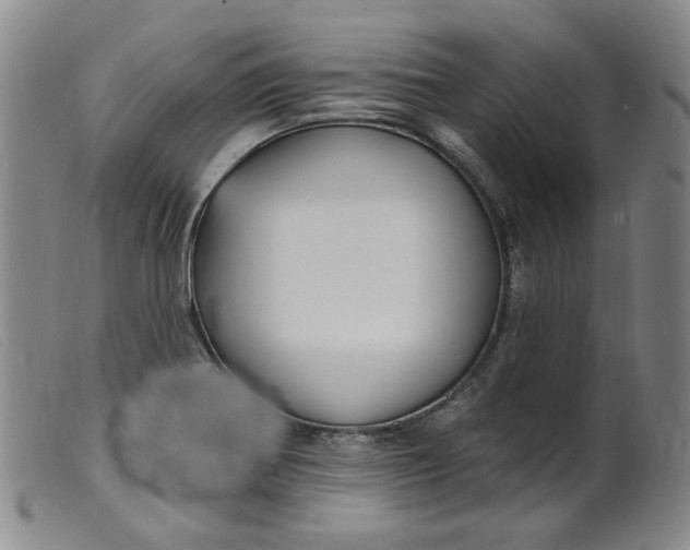 X0000099441370200805231707