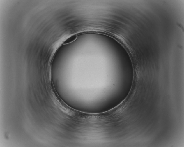 X0000099441371200805231707