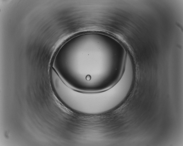 X0000099441372200805231707