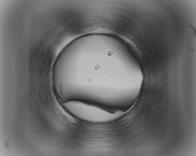 X0000099441375200805231707
