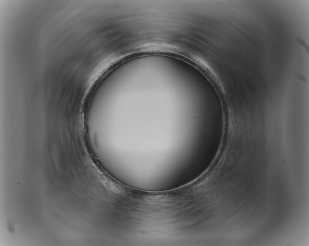 X0000099441376200805231707